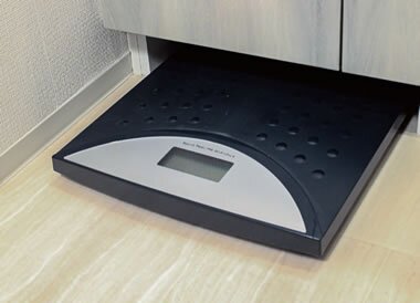 ヘルスメーター収納スペース