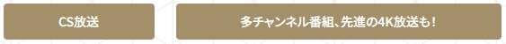 ケーブルテレビプラン〈オプション〉