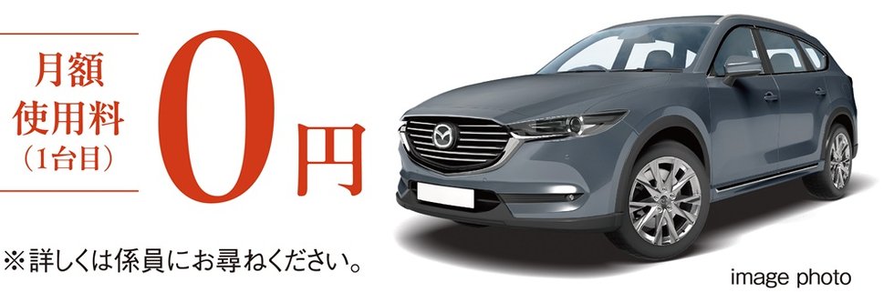 敷地内に全戸平面式駐車場完備