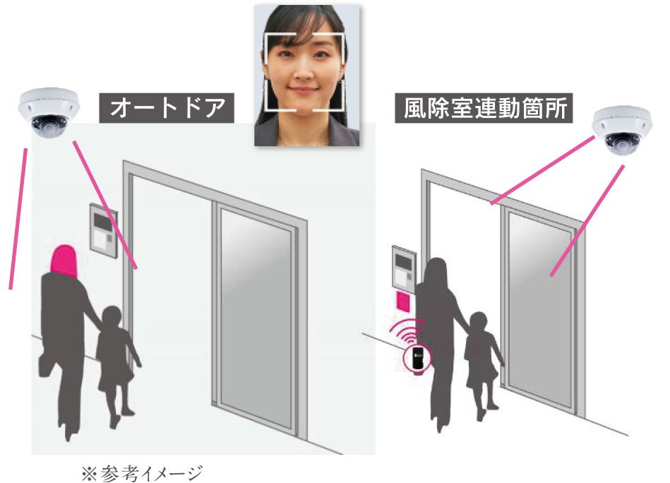 共用部Tebra FACE Pass