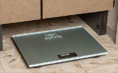 ヘルスメーター収納