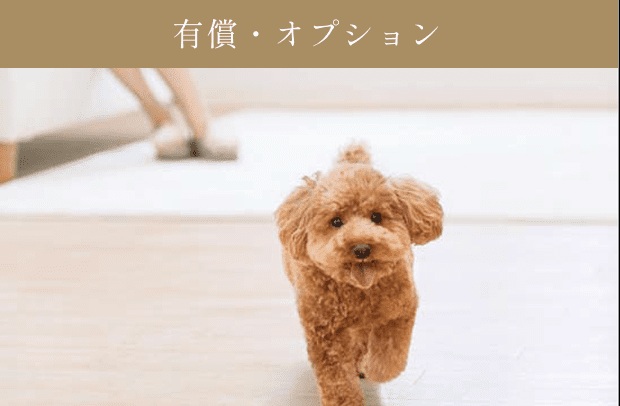 フロアマニキュアスリップレスタイプ