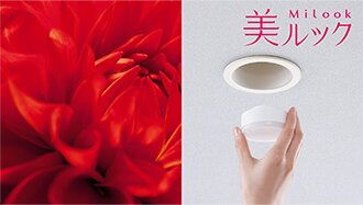 美ルック