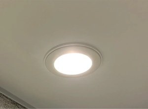 ダウンライト