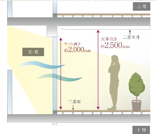 天井高約2.5mを確保した開放感あふれる空間