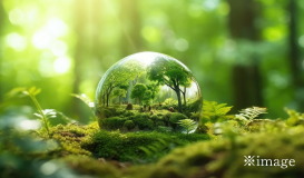 年間約13%のCO2を削減