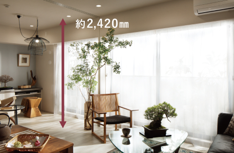 天井高約2,420ｍｍ