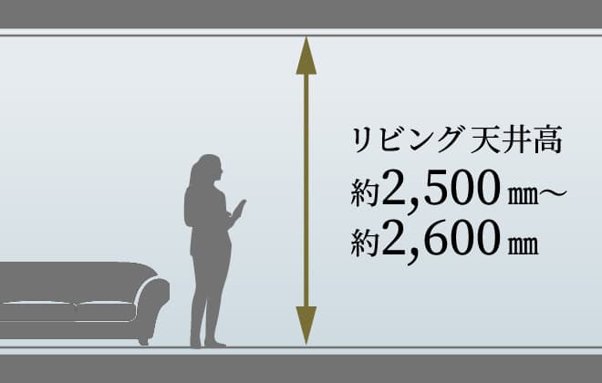 天井高