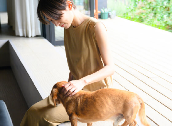 ペット用足洗い場