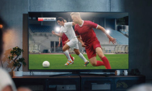 BS・110度CS放送対応