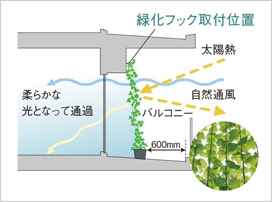 緑化フック※3