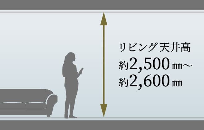 天井高