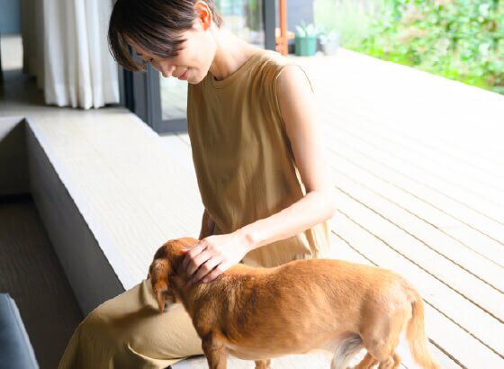 ペット用足洗い場