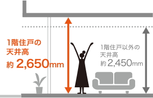 天井高約2.65m
