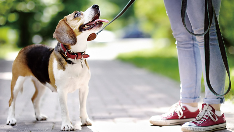 マルチ水栓スペース宅配ボックス