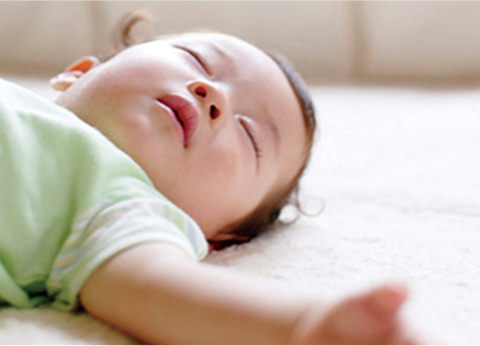 シックハウス対策