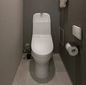 ウォシュレット一体形便器