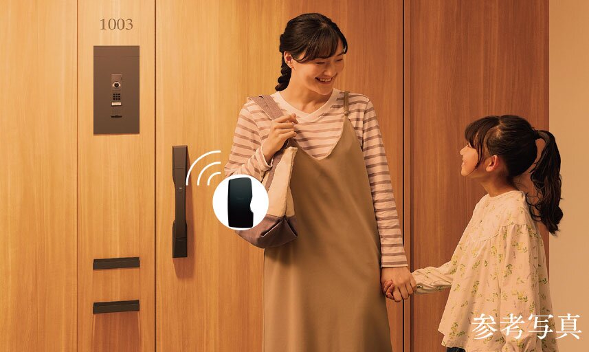 オプションTebra cell（電池錠）