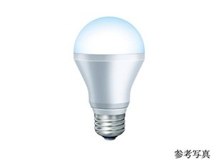 LED照明