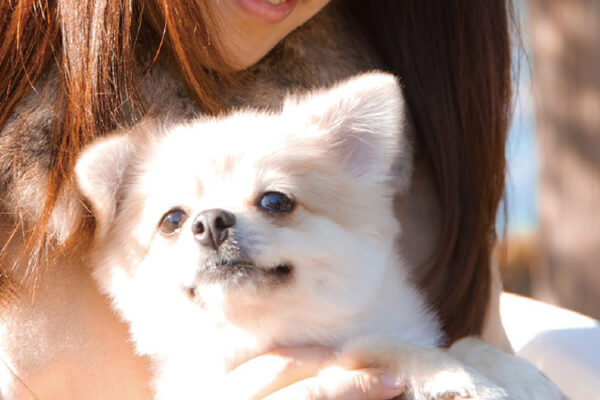 ペット飼育※※とペット足洗い場