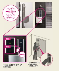 Tebra cell