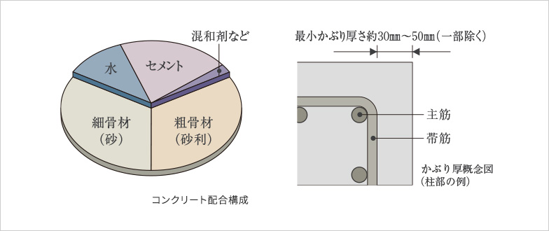 水セメント比/鉄筋のかぶり厚さ