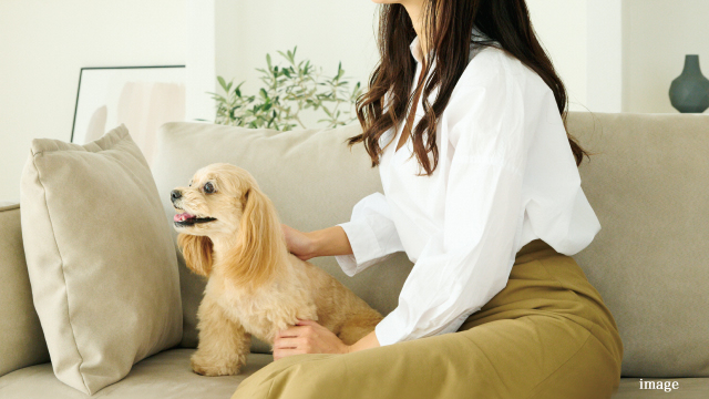 ペット共生マンション