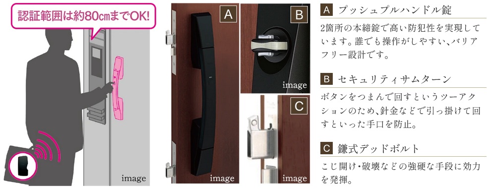 Tebra cell （テブラ セル）