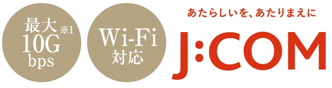インターネット ※1