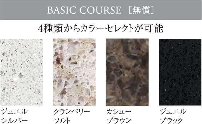 BASIC COURSE