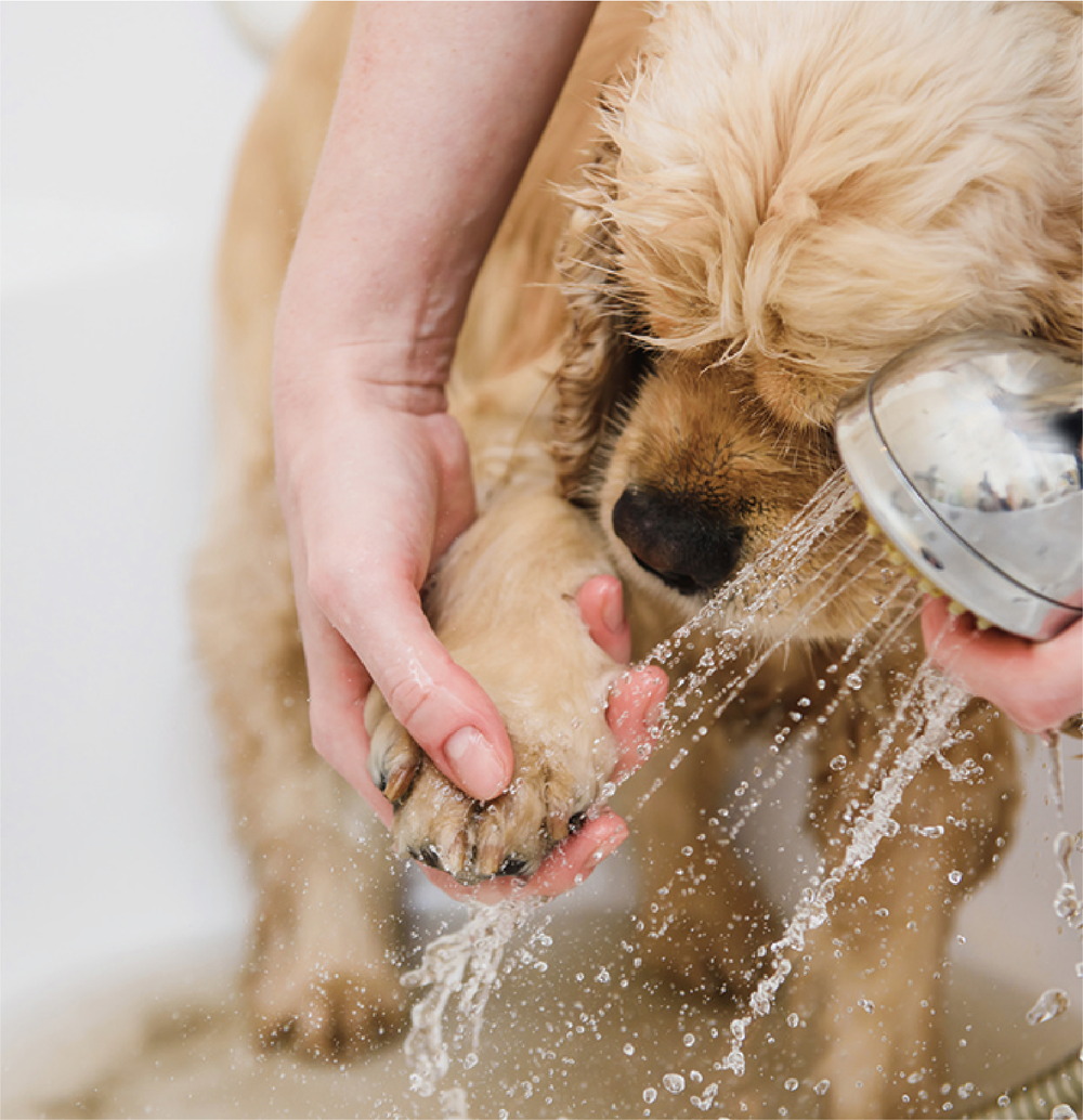 愛犬家にうれしい 
ペット足洗い場