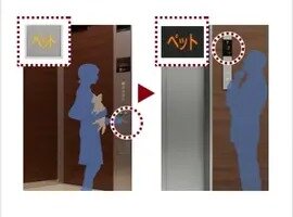 ペット同乗運転