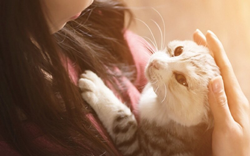 ペット飼育可･足洗い場