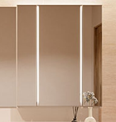 プリンセスミラー