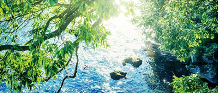 ｢Ｆ☆☆☆☆｣（Fフォースター）