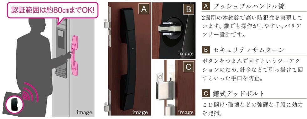 Tebra cell （テブラ セル）