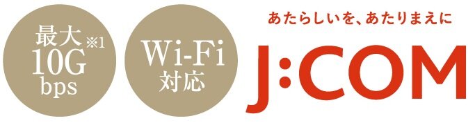 インターネット ※1