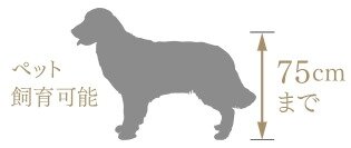 ペット対応
（ペット足洗い場・ペット対応エレベーターを採用）