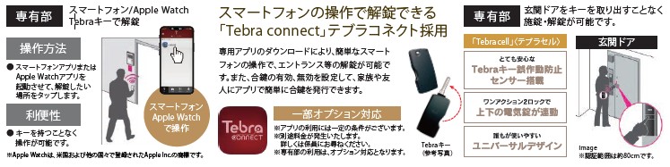 「Tebra connect」 テブラコネクト ＆「 Tebra cell」〈テブラセル〉