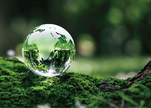 認定低炭素住宅