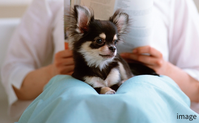 ペットとの同居もOK