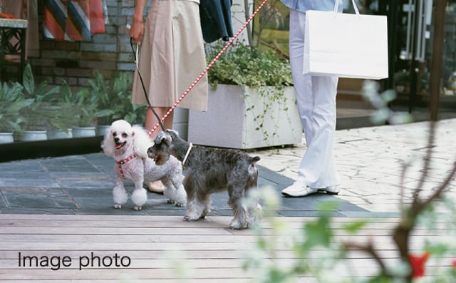 ペットと暮らせるマンション
