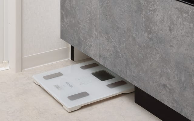 ヘルスメーター収納