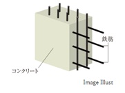 躯体の強度が向上するダブル配筋