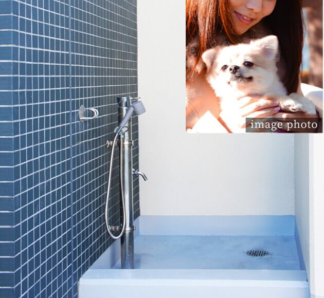 ペット飼育※とペット足洗い場