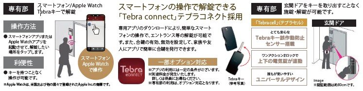 「Tebra connect」 テブラコネクト ＆「 Tebra cell」〈テブラセル〉