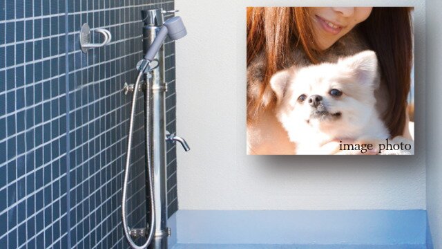 ペット飼育※ペット足洗い場