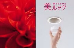 美ルック