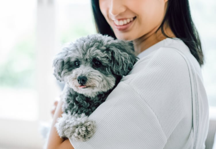 エレベーターにペットボタン設置