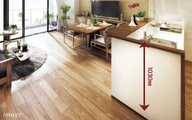 ハイカウンター